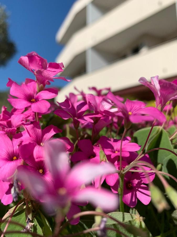 Eurobeach Residence Cavallino-Treporti Ngoại thất bức ảnh